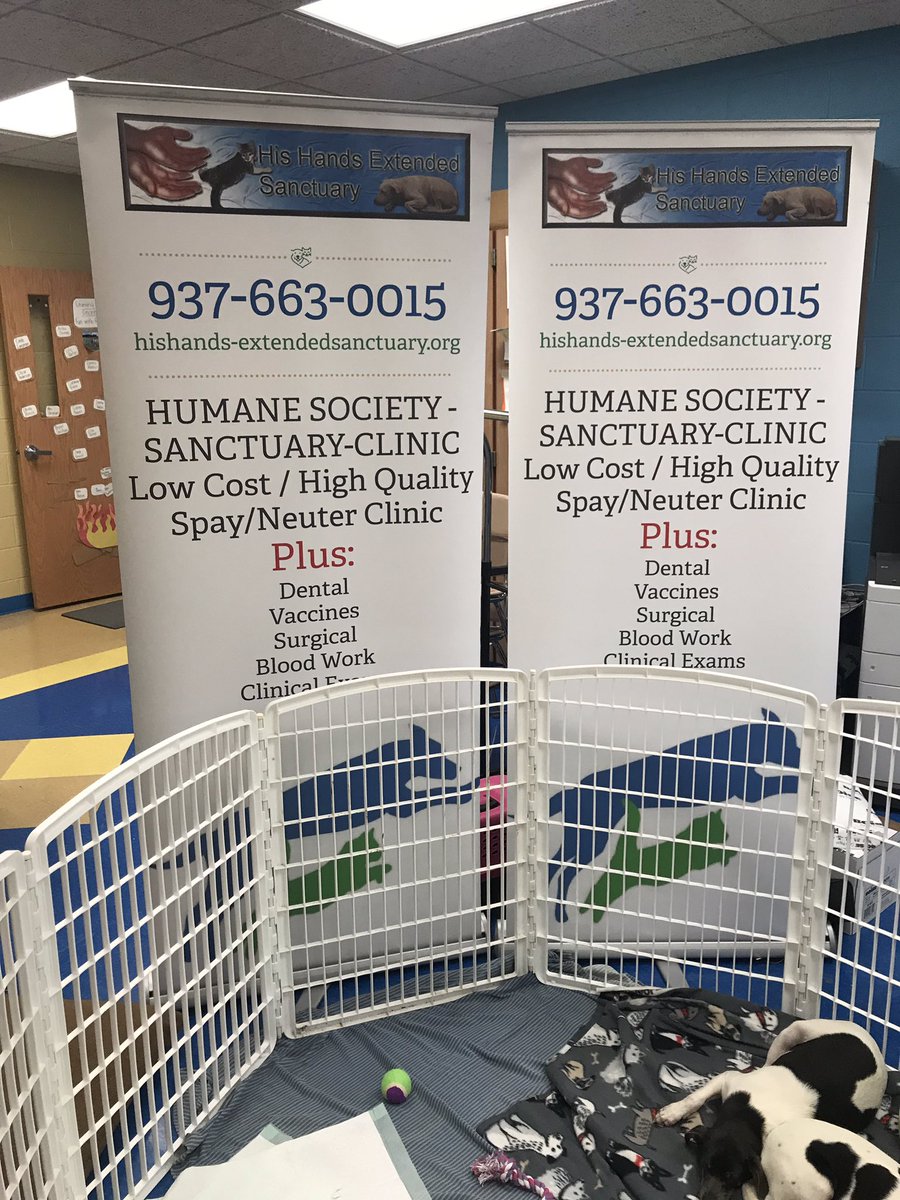caljacobs713's tweet photo. His Hands Extended Sanctuary came today and shared about  what they do and showed us some of their current pets! First grade was able to present them several donations and over $150!! @GESFalcons #GESPRIDE https://t.co/ZtAJ0Wclmq