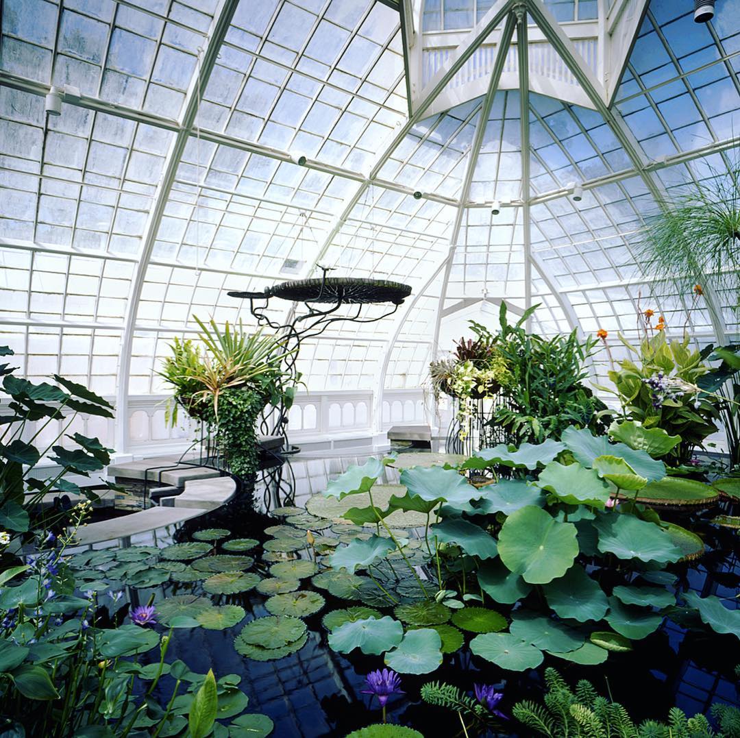 arg_create's tweet photo. This is one of our projects: The Conservatory of Flowers (it’s 140 years old!). This project received awards from @AIANational @AIACALIF @AIASF @CPF_SF and so many more 👏 See a full list of all the awards on our website! #rehabilitation #conservatoryofflowers #argcreate https://t.co/zFR8Skqh8k