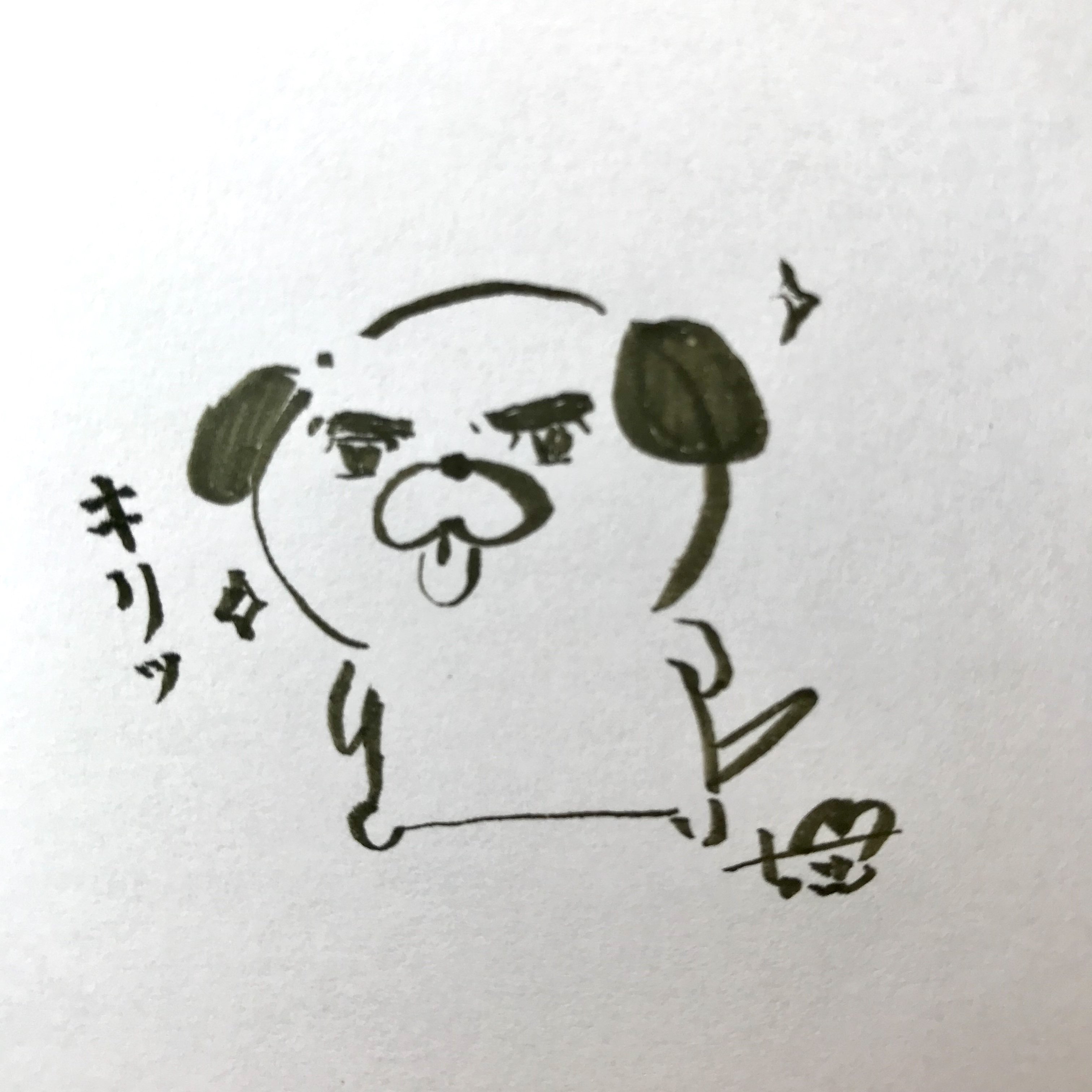 ちぃ イラストレーター 116 今回はアトリエ Amoie の 絵青先生 Kaisei11 から頂いた 深緑の筆ペンを使って描きました 筆ペンを使ったからかな ぺろいぬがいつもより 渋い 1日1アホかわ ぺろいぬ キリッ 渋い イラスト オリジナル