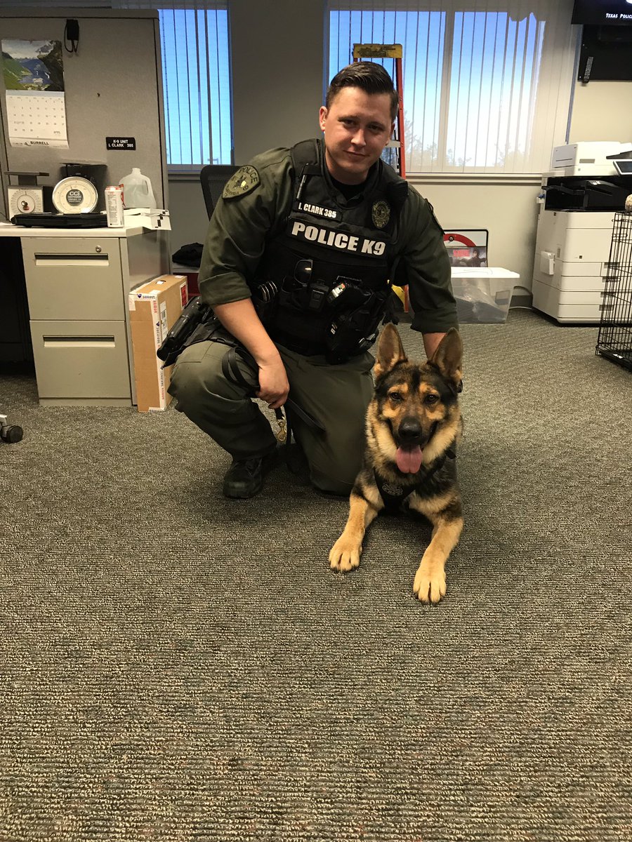 ChiefRobledo's tweet photo. Great teamwork by @Pf_Police Patrol, @c_lark2201 &amp; K9 Lubo In capturing a suspect. Time for treats &amp; attaboys for K9 Lubo. Super proud of all our Patrol Ofcs. Keeping our community safe! #LuboOnDuty @Pf_K9s @lewis_makeba @PPD205 @CmdrNeyland @PfPD52 @TSum258 https://t.co/aqj01F1NAT