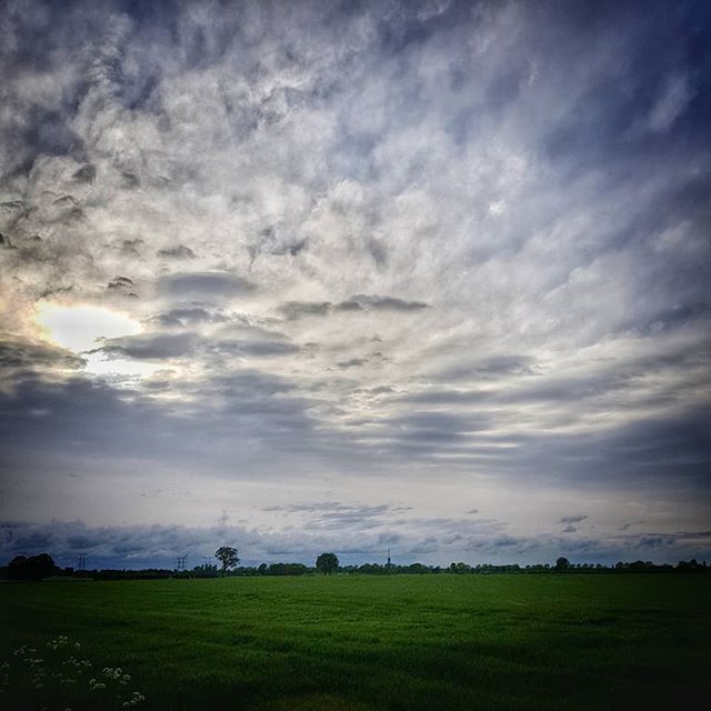 BasHaansFoto's tweet image. Tilburgs ploatje #samsung #Note8 #androidgraphy #androidonly #365project #365schallenge #365/105 #androidgram #picoftheday #photooftheday #clouds #cloudporn #bluesky #nature #naturelovers #picofthemoment #instadaily #instalike #vsco #igers  #bestoftheday… dlvr.it/R3Wkcq