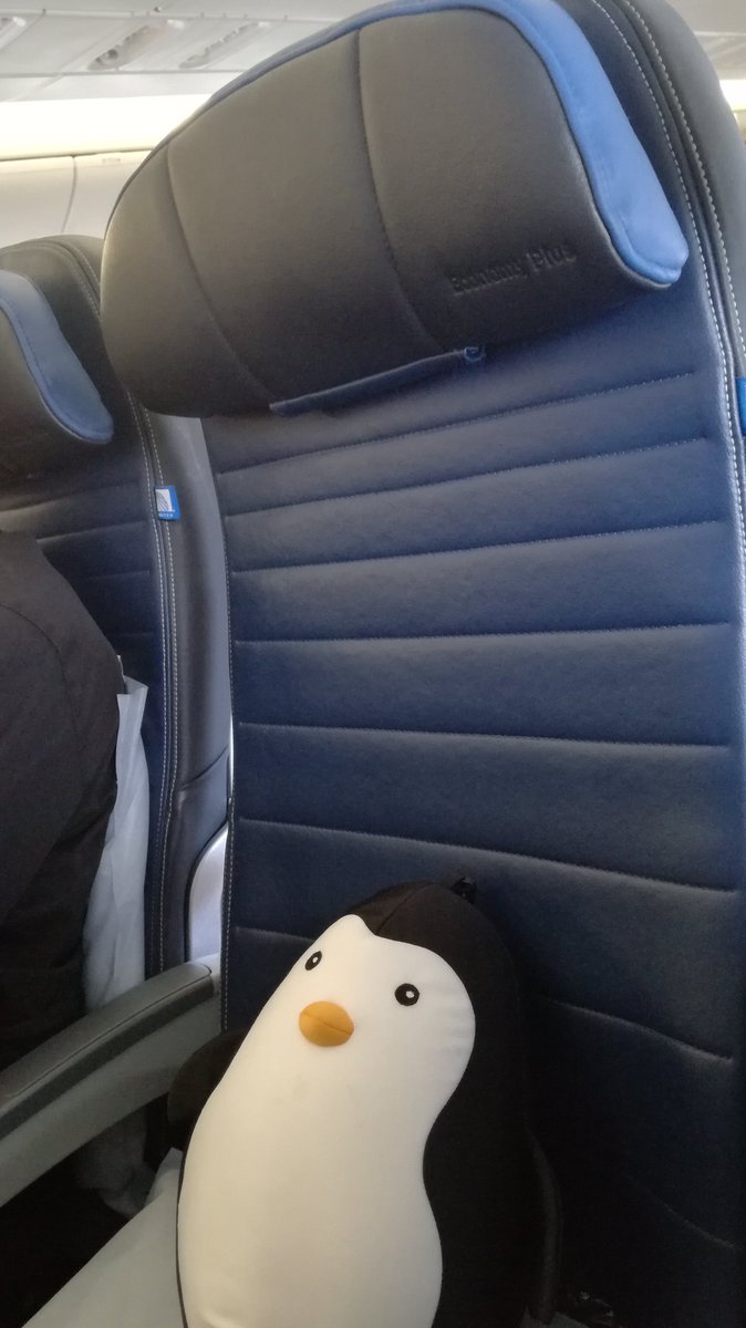 Ma_Kunert's tweet photo. Einen Kollegen hat @aruetzel in ihrem fantastischen Buch #lieberallein beim Thema Reisen übrigens vergessen... #bestersitznachbar #mytravelpillowisbetterthanyours #teamruetzel 🐧 https://t.co/RtvHk8tTis