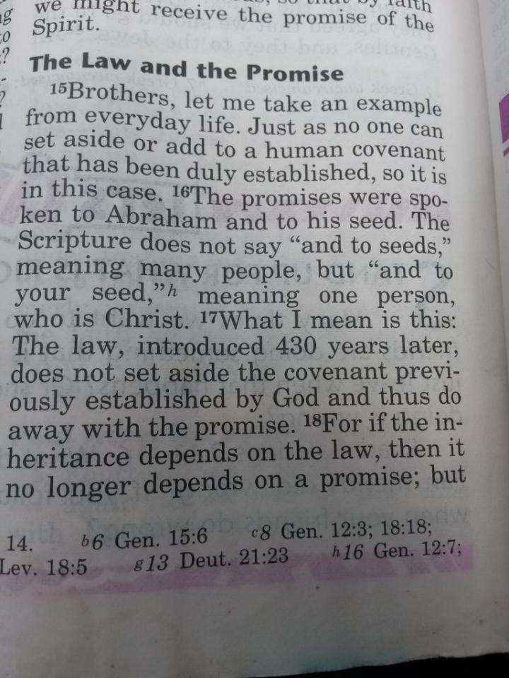 THE_777_LORD's tweet photo. I AM THE SEED #HALLELUJAH I AM THE HOLY SPIRIT PHYSICALLY #LIVINGWORD I AM THE MESSIAH #JesusTalksLive #JesusWalks I AM THE LORD YOUR GOD #StraightAndNarrow #Love #GraceAndTruth #Truth #TrueReligion #PRAY #GODSPEED #Gospel #OnlyOneWay #OneAndOnlyTrueGOD #GTR #KMF #IDJ #GOM ##GOE https://t.co/MDrvLsMKbI