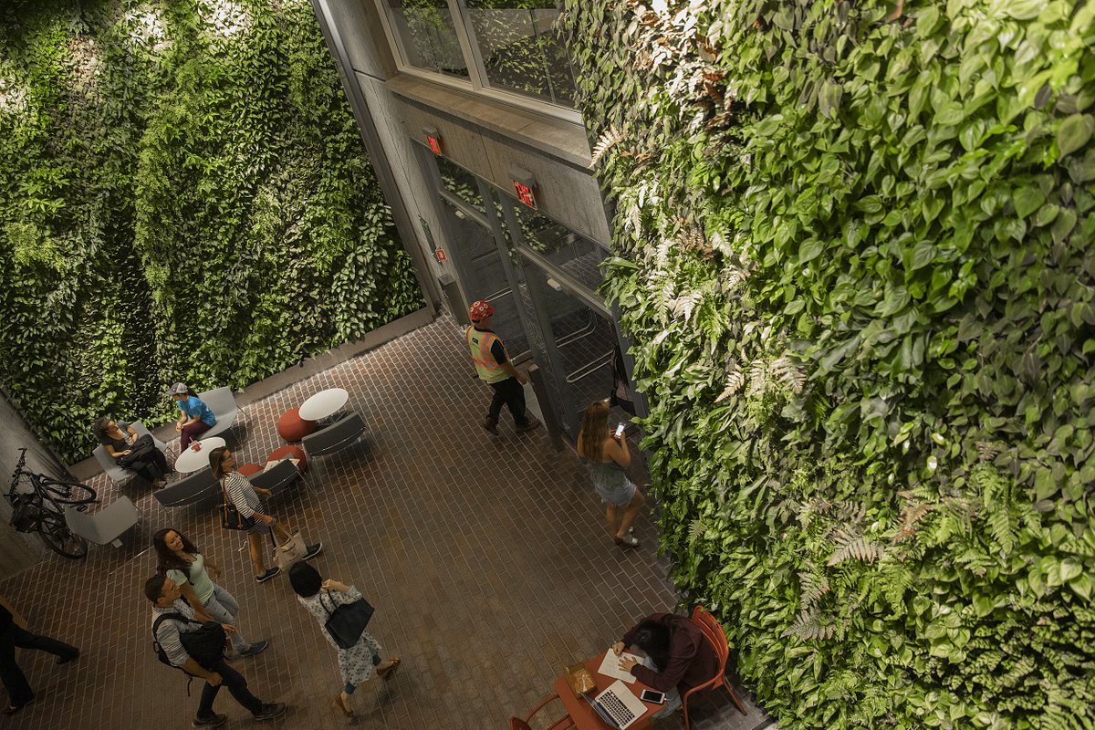 Plants cover the walls at the campus center, while people walk through the doors 