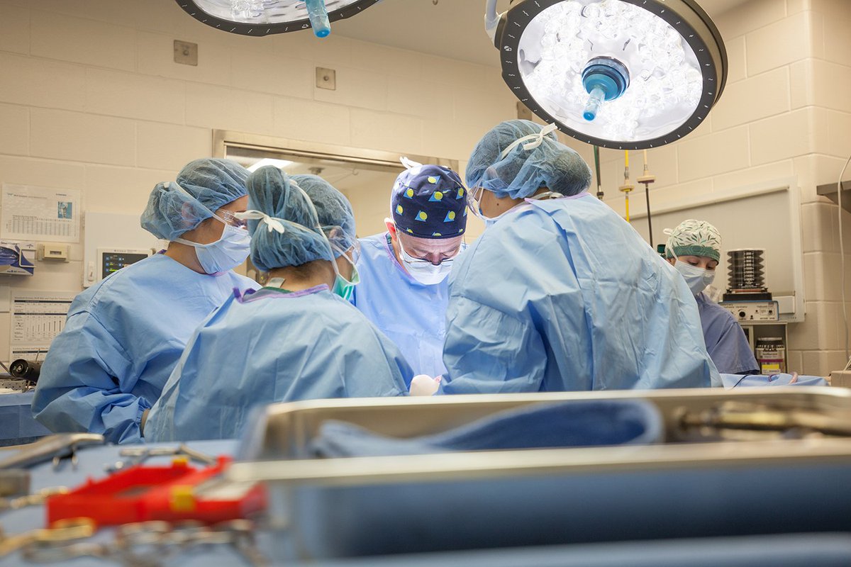 pucvm's tweet photo. Read the update from Dean Willie Reed about the status of State Funding for our new Hospital Project!

#PurdueVetMed #SupportPVM #PVM60 #Purdue150 #TakeGiantLeaps

Read more at https://t.co/w4gmTdTR1A https://t.co/D6f7fAtHGO
