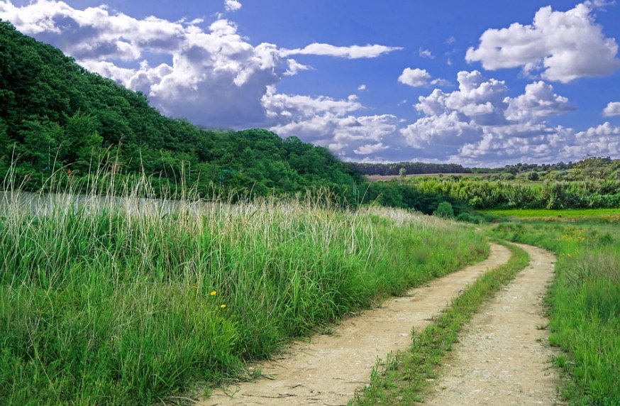 See countryside. Сельская Проселочная дорога. Просёлочная тропа. Тропинка в поле. Природа.