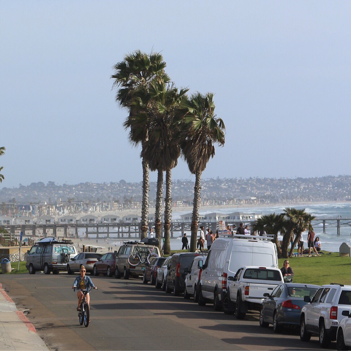 You are now entering a stress free zone. 🏝🚲 #SurfMonkeyBikes 🌞#PacificBeach #SanDiego