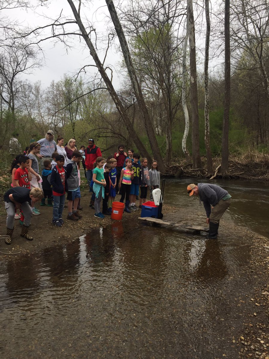 Trout are released! Ecology Club from <a href="/SNIS_CT/">Sarah Noble School</a> was able to set about 75 trout into their new home in the East Aspetuck at <a href="/PrattNature/">Pratt Nature Center</a> this afternoon with <a href="/GeetMrs/">Mrs. Gee</a> Great job, everyone! Thanks for another great year of TIC, <a href="/cvtu/">Candlewood Valley TU</a>!