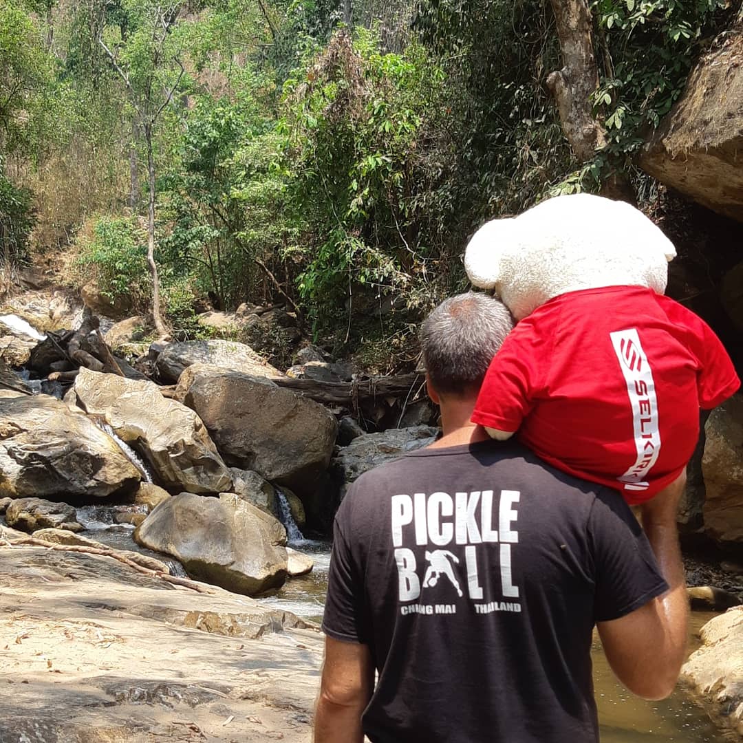 SelkirkTeam's tweet photo. Things are a bit quiet on the pickleball court here lately so the Selkirk Bear has been exploring beautiful Chiang Mai. He got to swim in the waterfall and even met some fans.
#TeamSelkirkThailand #chiangmai #amazingthailand @SelkirkSport https://t.co/5G3jYJaPvM