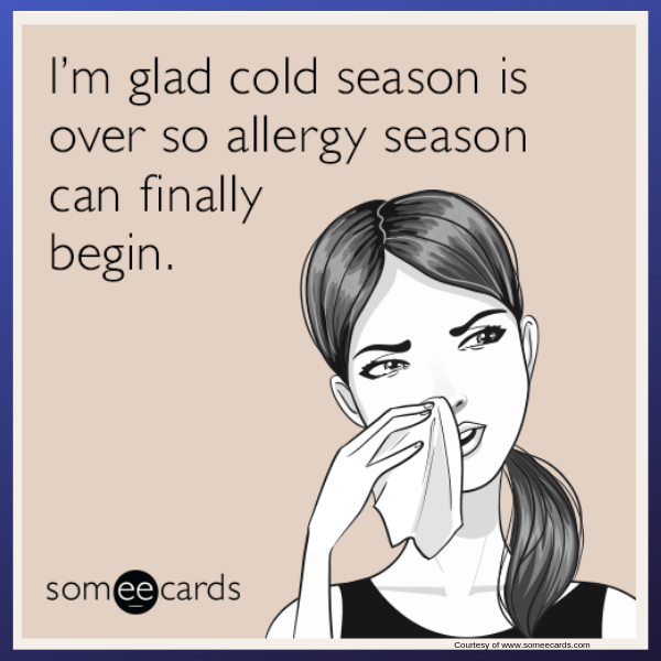 CCFuelOil's tweet photo. Don't let #SeasonalAllergies ruin your #Spring!  Ah Choo! 👃 - https://t.co/VcIJDQxzpq https://t.co/SBTln8BGWH