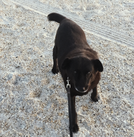 Never a dull moment with this one! xx - John