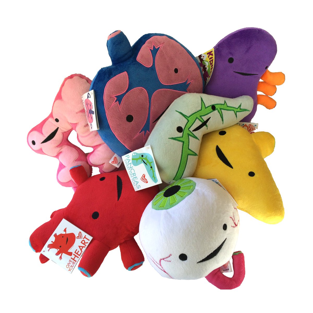 Just some of the donatable human #organs! Yes, did you know eyeballs can be donated too?! So cool. Happy #donatelifemonth and #TissueandOrgandonorawarenessweek!

#heart #kidney #pancreas #colon #PediatricTransplantWeek #nationalPediatricTransplantWeek #organdonation #organdonor