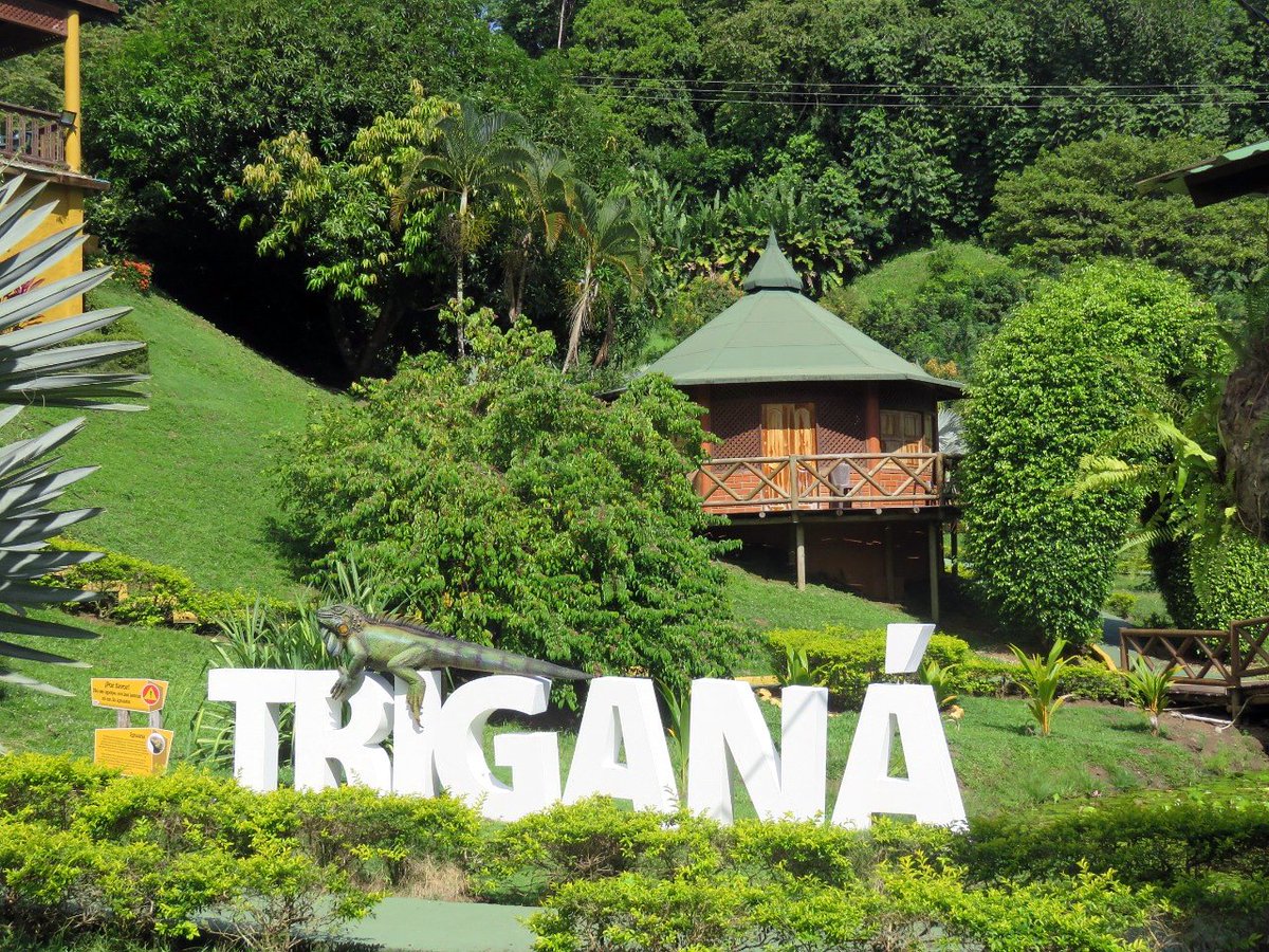 corporacion_tpd's tweet photo. #TBT Cuando conocimos Triganá, uno de esos destinos mágicos del Chocó que debes conocer.
#TurismoComunitario #ViajarTransforma #UnNuevoTurismo #TurismoDeNaturaleza https://t.co/LbXjxfu4j4
