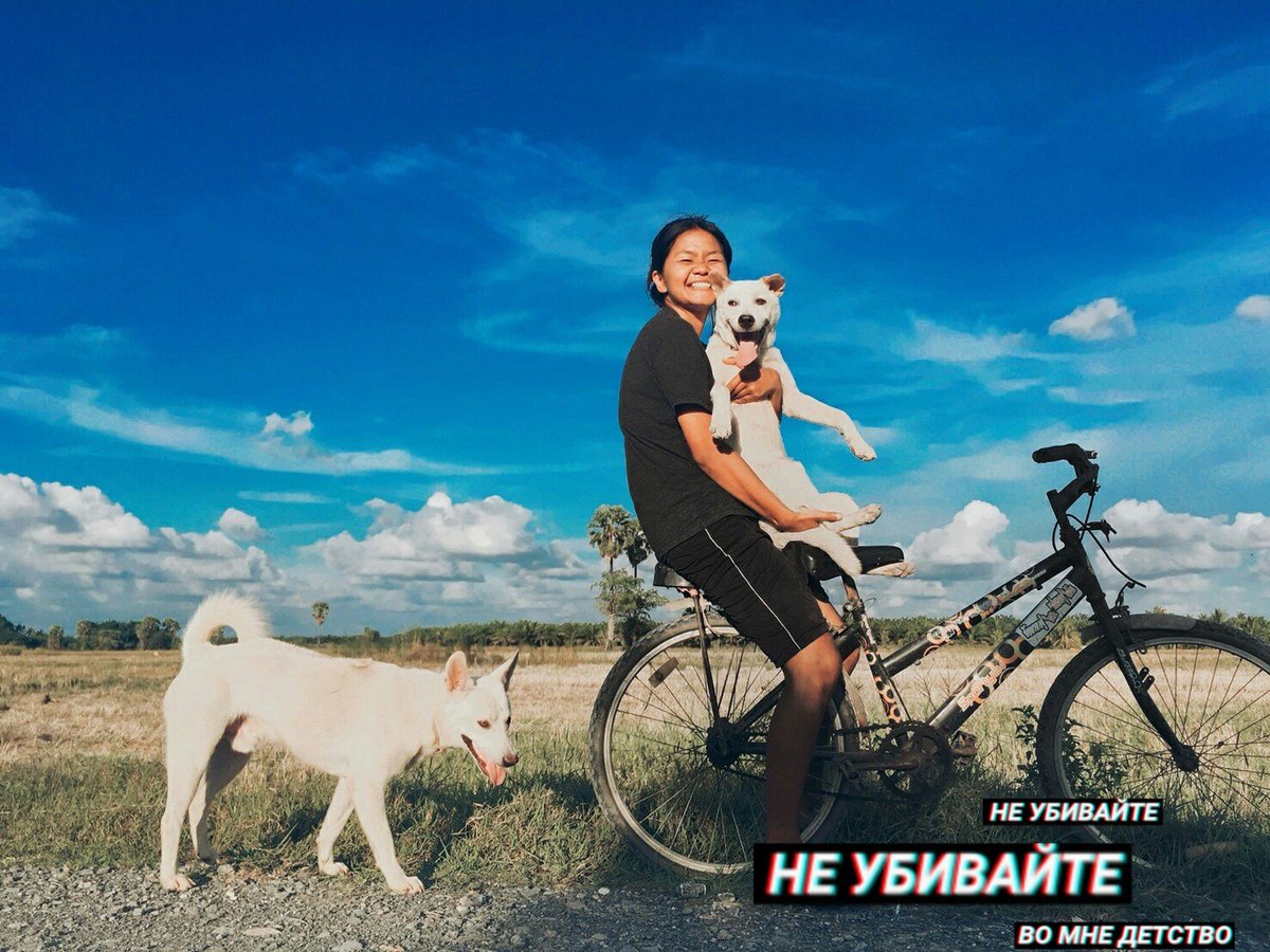moowhan2312's tweet photo. #จิราพรรณรักช้าง 😁🐶 https://t.co/cab715UMAl