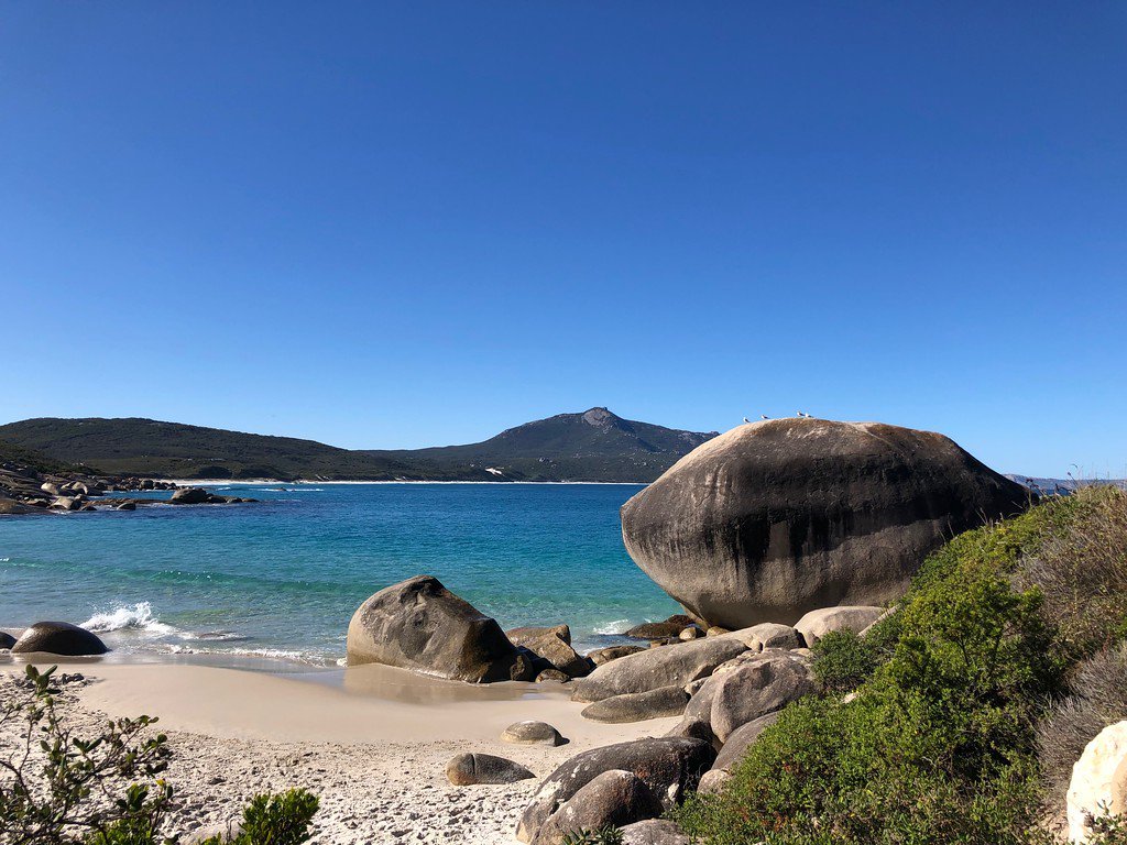 𝙹.𝚂. 𝙿𝚘𝚗𝚝𝚒𝚏𝚎𝚡 tweet media