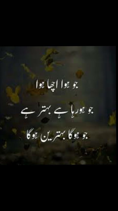 mudassardbs tweet picture