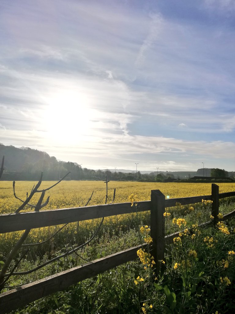 ChrisMartey's tweet photo. Can it still be called interval training if you stop every 5 minutes for the views? π€π
π€·πΎββοΈ
This morning's commuteπβοΈ
#RunTheBath #BathSpa https://t.co/NwHhWsOfjV