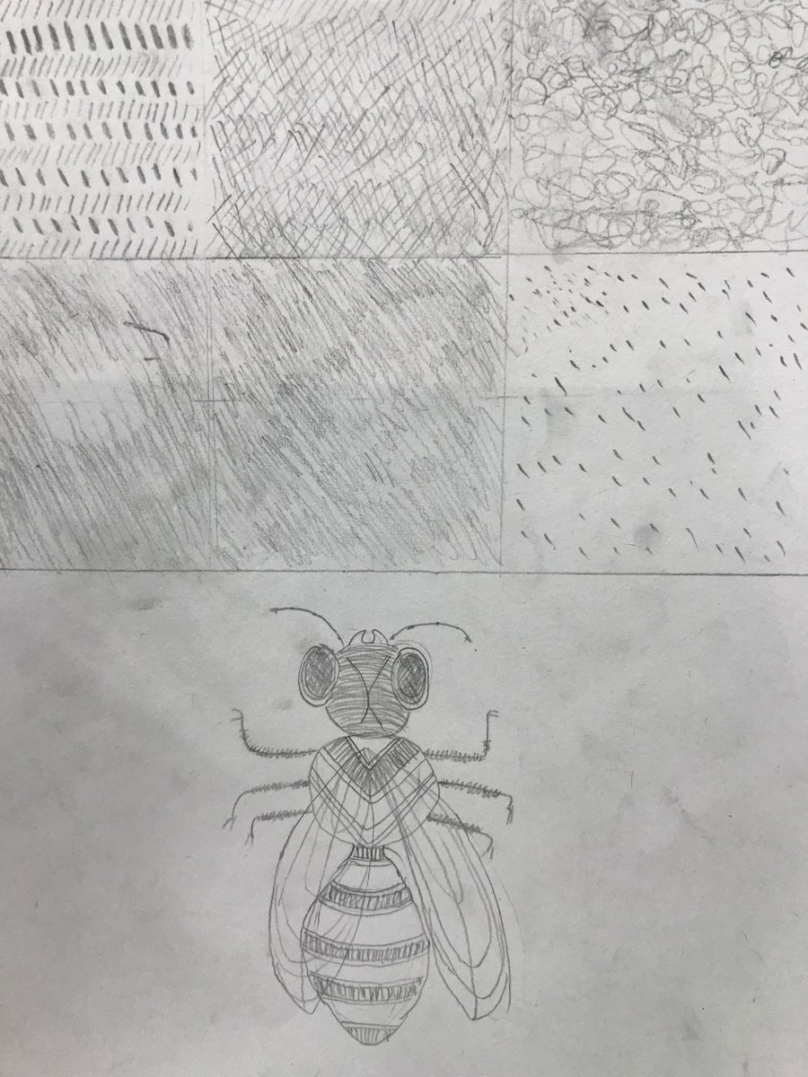 Amaia_Movie's tweet photo. Excellent use of linear marks and shading techniques in these Year 8 studies #LineQuality #ShadingSkills https://t.co/F22Mexslzc