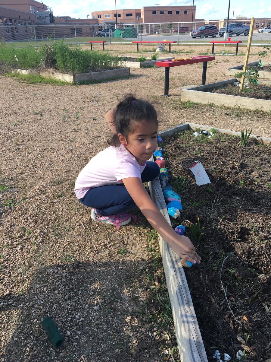 Josie Scherrman (@josie_scherrman) on Twitter photo Thank you Scotties for coming out and helping in the garden. Growing plants teaches us many things but sometimes it’s just fun to play in the dirt. <a href="/MahaffeyKISD/">Mahaffey Elementary</a> <a href="/ptomahaffey/">PTO Mahaffey</a> #scottiesonthemove Thank you Scotties for coming out and helping in the garden. Growing plants teaches us many things but sometimes it’s just fun to play in the dirt. <a href="/MahaffeyKISD/">Mahaffey Elementary</a> <a href="/ptomahaffey/">PTO Mahaffey</a> #scottiesonthemove