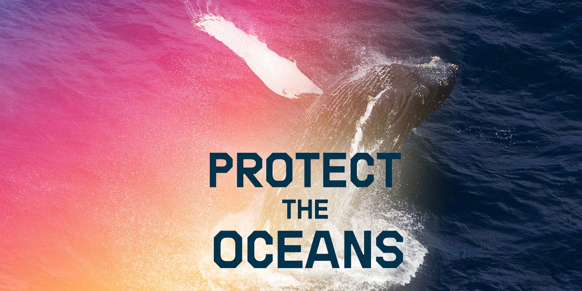 Greenpeace's tweet photo. The #oceans produce half of our oxygen, food for a billion people and soak up huge amounts of carbon dioxide.

Let’s give it the protection it deserves >> https://t.co/XaDSnVLvu4
#ProtectTheOceans https://t.co/9ejli7kMn2