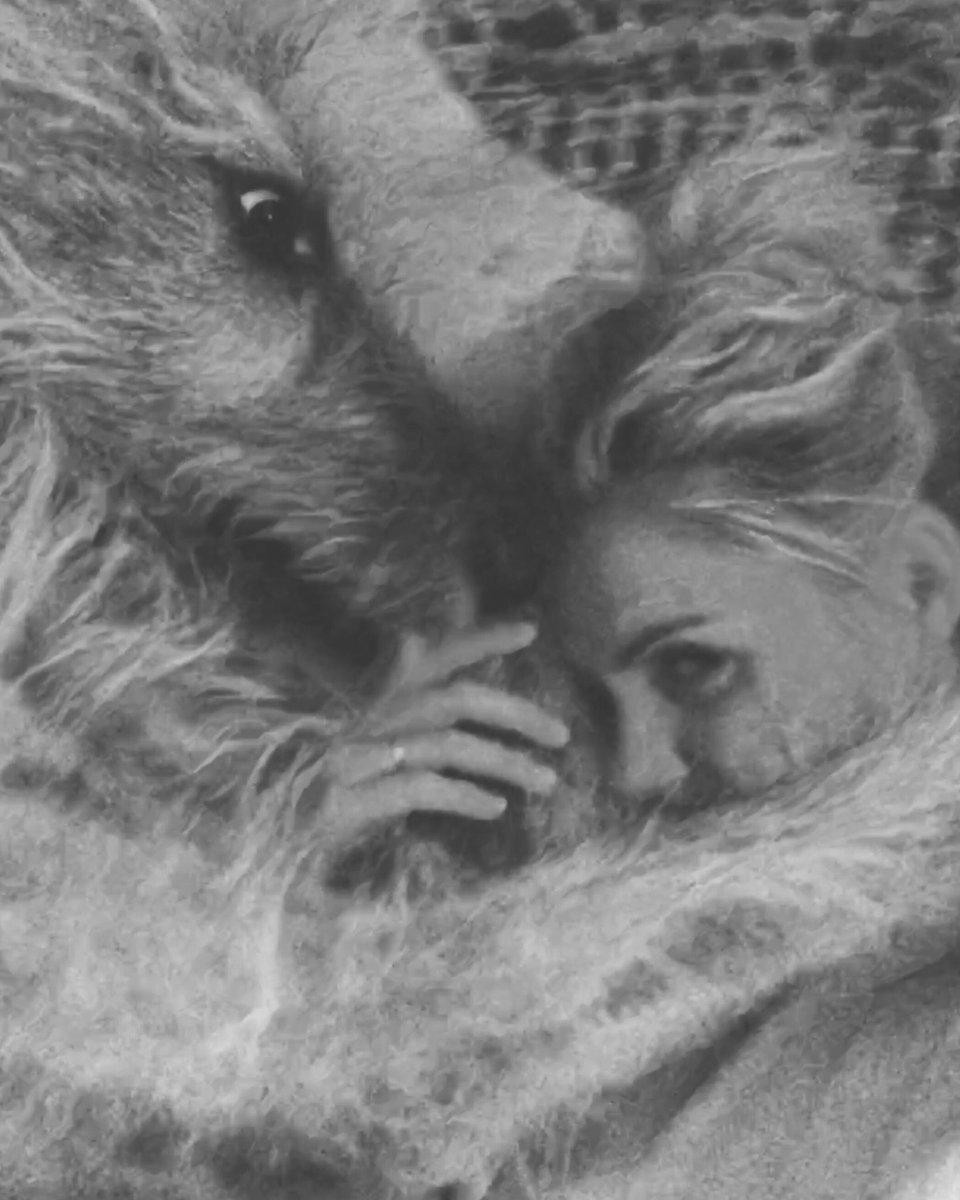 clarembee's tweet photo. #FloorPie β₯οΈβ¨ https://t.co/qCENVZRHWI