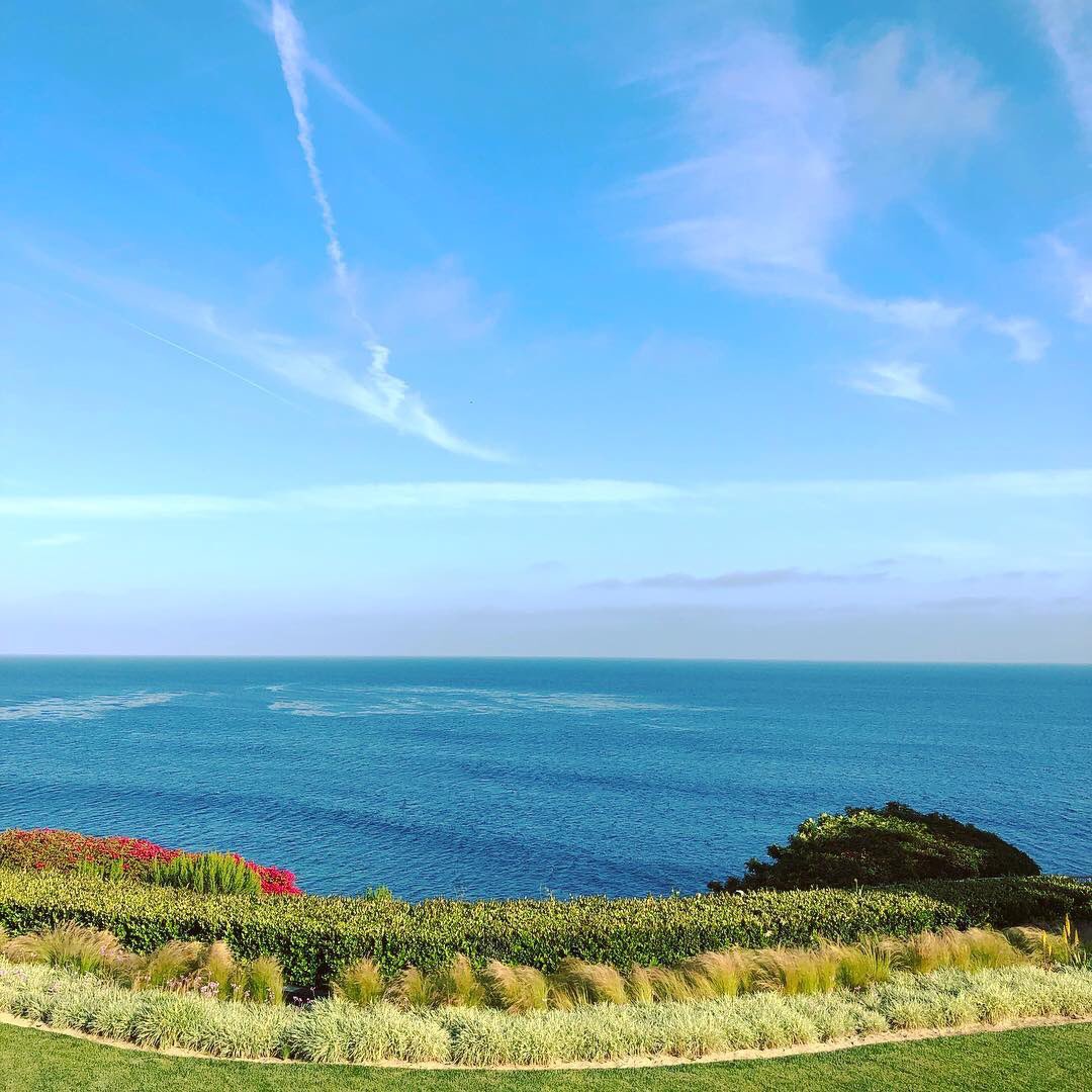 DrEddyClinic's tweet photo. RT @DrSarah: View from work today! 💛🌺🌊 #OnLocation #HouseCalls #ConciergeDoctor ✨✨✨ #NaturalMedicine #RegenerativeMedicine #FunctionalMedicine #IVVitaminDrips #StemCellTherapy #MalibuLifestyle #EnjoyTheJourney https://t.co/PCLp8DWwom