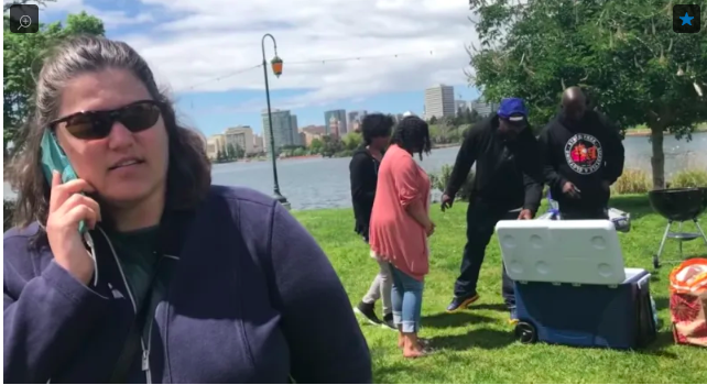 TheRoot's tweet photo. Michigan town wants to crack down on folks who dial 911 for #BBQingWhileBlack. https://t.co/OJs83GWa3u https://t.co/Nx2dzKISYk