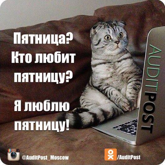 Приколами жирафами, картинки с пятницей любимый мой