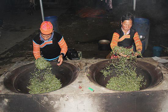 longtran2901k's tweet photo. Trà shan tuyết cổ thụ - "Lão trà" vùng cao Tây Bắc
- - -
https://t.co/n4JzjJjLKD
- - -
#Vietnam #Vietnamese #tea #shantea #shancha https://t.co/PHycO44FLT