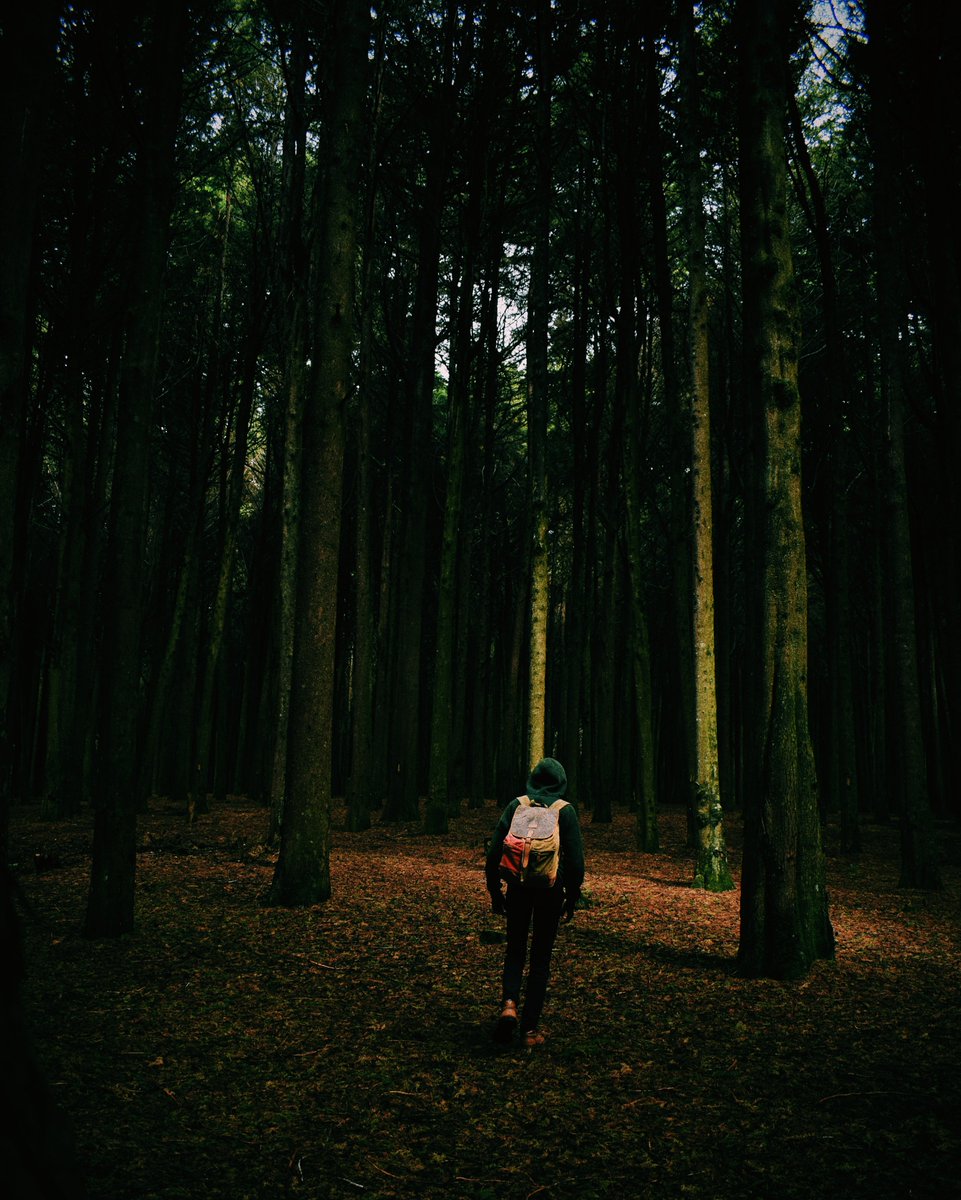 lets_drift's tweet photo. Let's get lost!
#letsdriftke #discoveringkenya #magicalkenya https://t.co/T6GIqlANFU