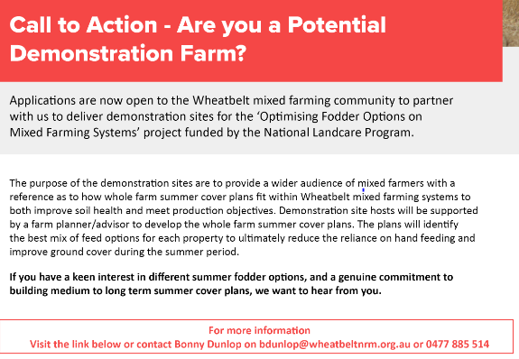 BonnyDunlopH's tweet photo. are you interested in summer #feedgap options? @Wheatbeltnrm are on the look out for demonstration farmers in the #avonriverbasin Applications and Criteria here https://t.co/YeSE3Zw9vo Applications close 6th May contact me for info https://t.co/zIUsyPf3D0