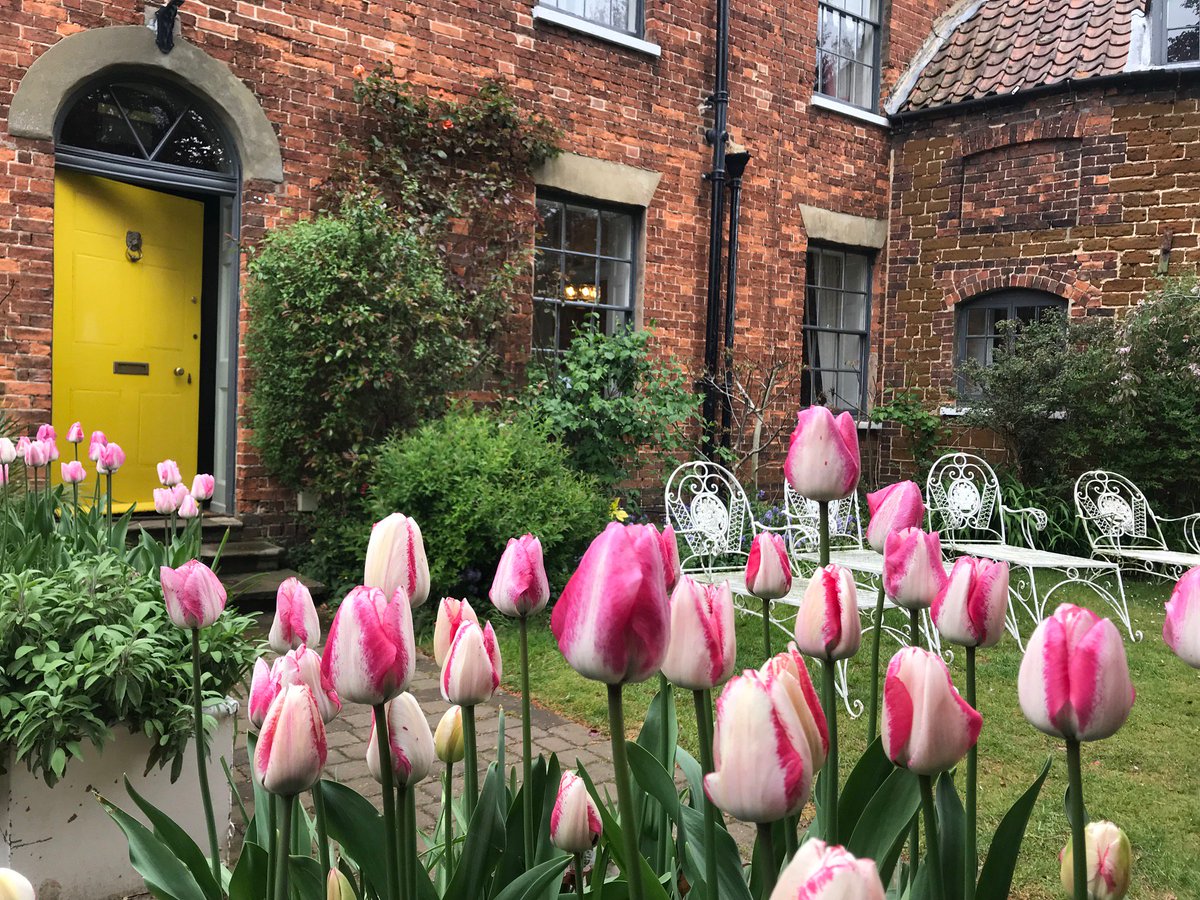 Tulips are up! #englishcountrygarden #spring #staycation #norfolk #accommodation