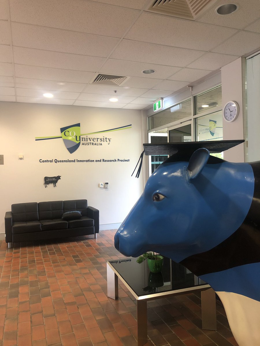 #ICMJNorth day 2, at the CQ Innovation and Research Precinct this afternoon