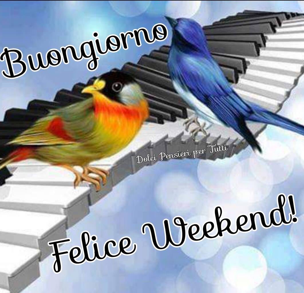 ElviraCori buongiorno luminoso Elvira, viviamo al meglio anche questa  giornata di primavera. Un abbraccio.😘🤗☀️, image size:1062x1024