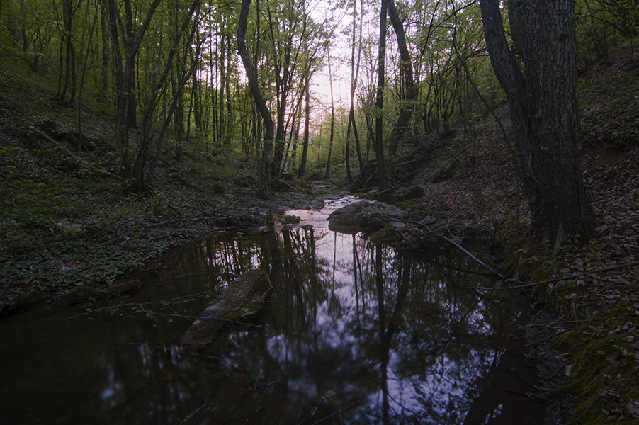 Vemil13's tweet photo. Sleepy Time #ThePhotoHour #dailyphoto #MyPhoto #photoart #fineartphotography #waterphoto #waterabstract #waterfallhunters  #waterfalladventures #whitewater #spring #silhouettes https://t.co/lBpGS9Xgws