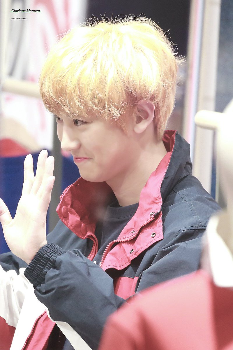 hot_pcy_pict's tweet photo. ugh he is so cute♡ cr.glorious moment

#BBMAsTopSocial EXO @weareoneEXO https://t.co/KpmWUNbpiL