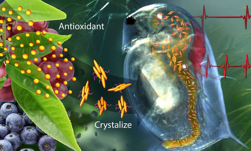 polymersciences's tweet photo. https://t.co/0KXthCJh2l 
Smart antioxidant-containing polymer responds to body chemistry, environment.
#Oxidants #chemistry #catechins
Lois Yoksoulian, #UniversityofIillinois at Urbana-Champaign
#PolymerScience  #Polymerengineering #Polymernanotechnology #Polymerchemistry https://t.co/x4akXk7qZ6