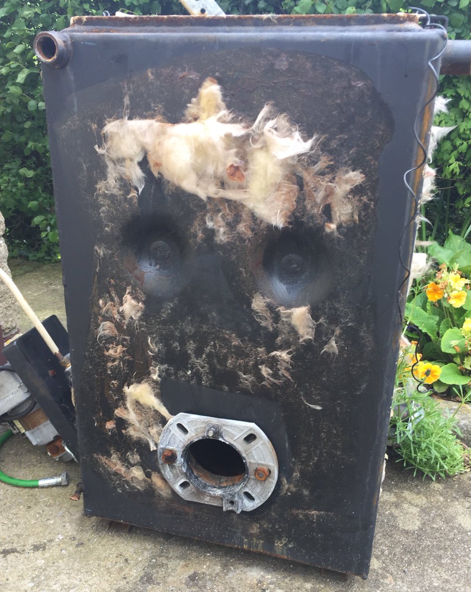 GHT250500's tweet photo. When your @realDonaldTrump lookalike oil boiler is surprised at homeowners decision to replace with new renewable wood pellet boiler. #Klover #Trump https://t.co/L96NITYokM