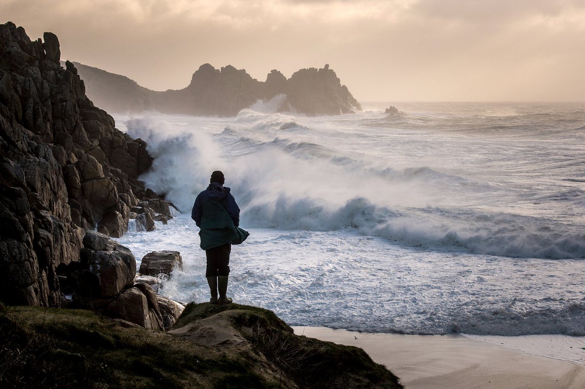 Truro Farmers Market tweet media