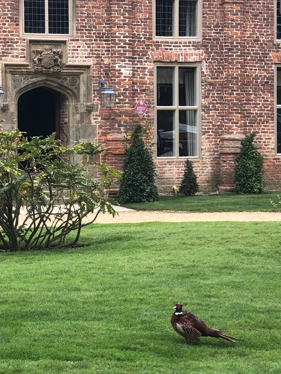 First guest arriving ⁦<a href="/The_Pig_Hotel/">THE PIG</a>⁩ at Bridge Place, looks a bit cocky! ⁦<a href="/hutson_judy123/">Judy hutson</a>⁩
