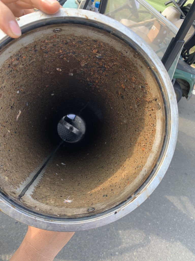 Ali MacFadyen tweet media