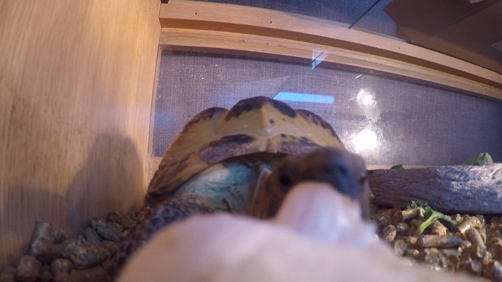 Created with the #GoPro App on my iPhone.