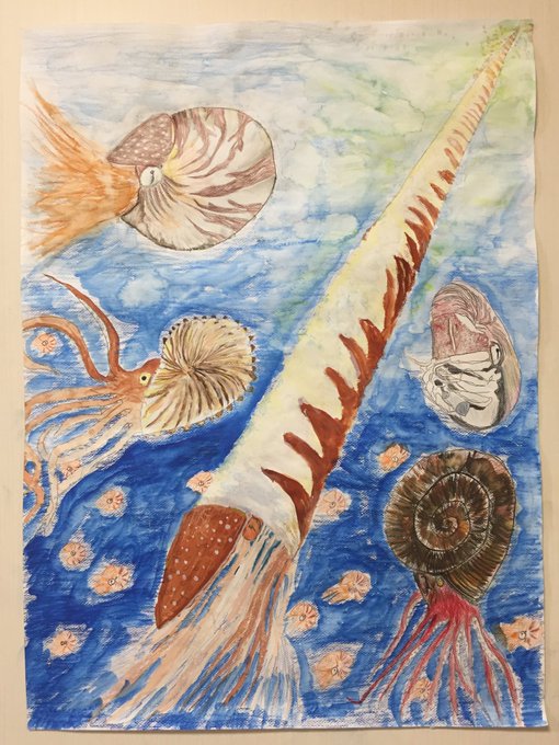 オウムガイのtwitterイラスト検索結果 古い順 オウムガイのtwitterイラスト検索結果 古い順