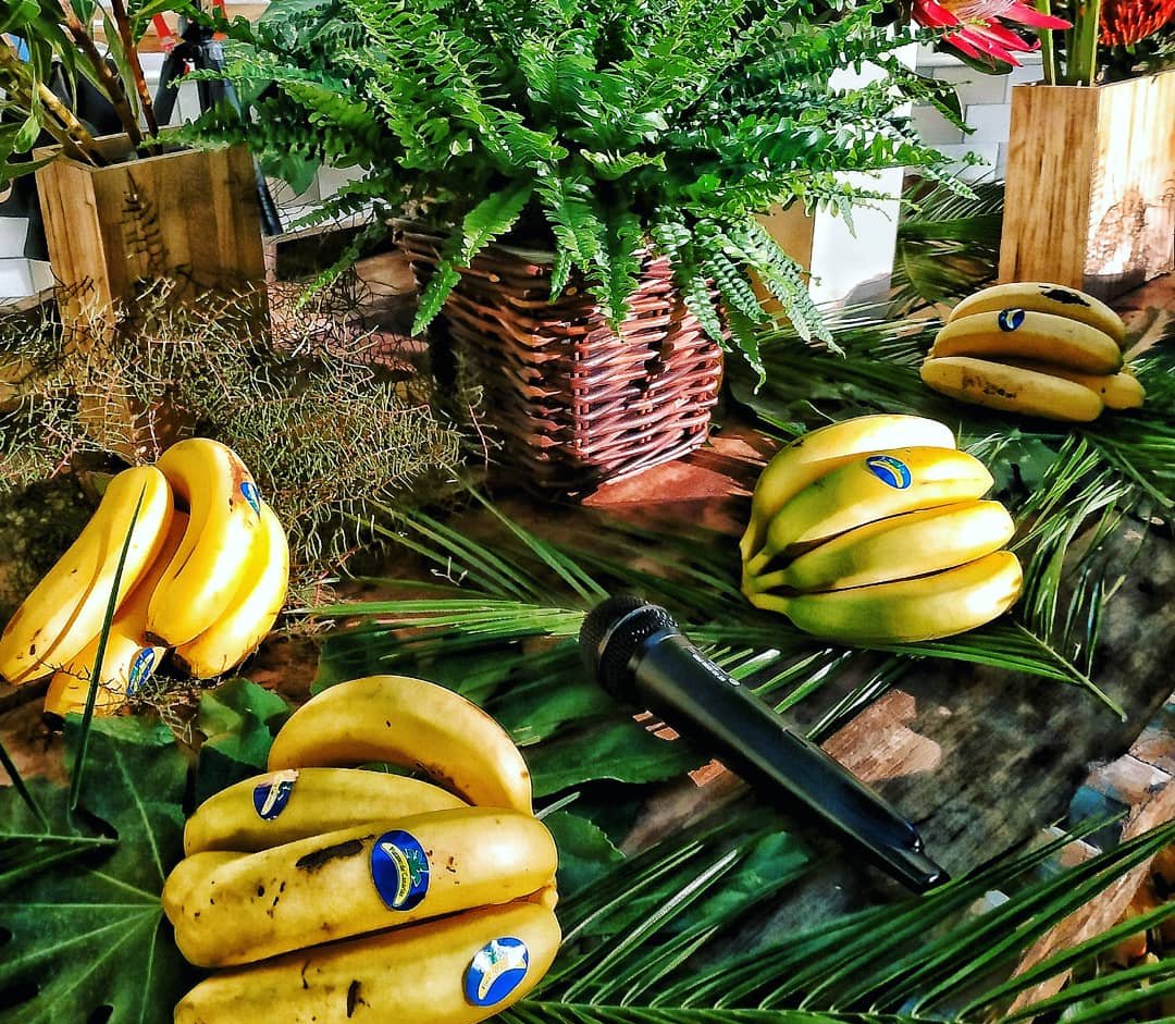 Fantástica la cena que ayer organizó Plátano de Canarias. Descubrimos las conclusiones del estudio que han realizado sobre la alimentación de los niños en los comedores escolares y disfrutamos de la compañía del nutricionista Carlos Ríos, <a href="/Verdeliss_/">Verdeliss</a> y <a href="/DanielMChef6/">Dani</a>