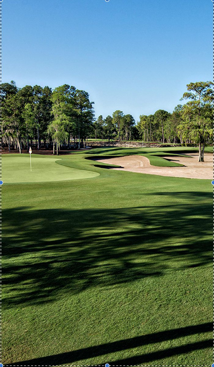 Round 1 of 2019 Terra Cotta Invitational ready to begin.