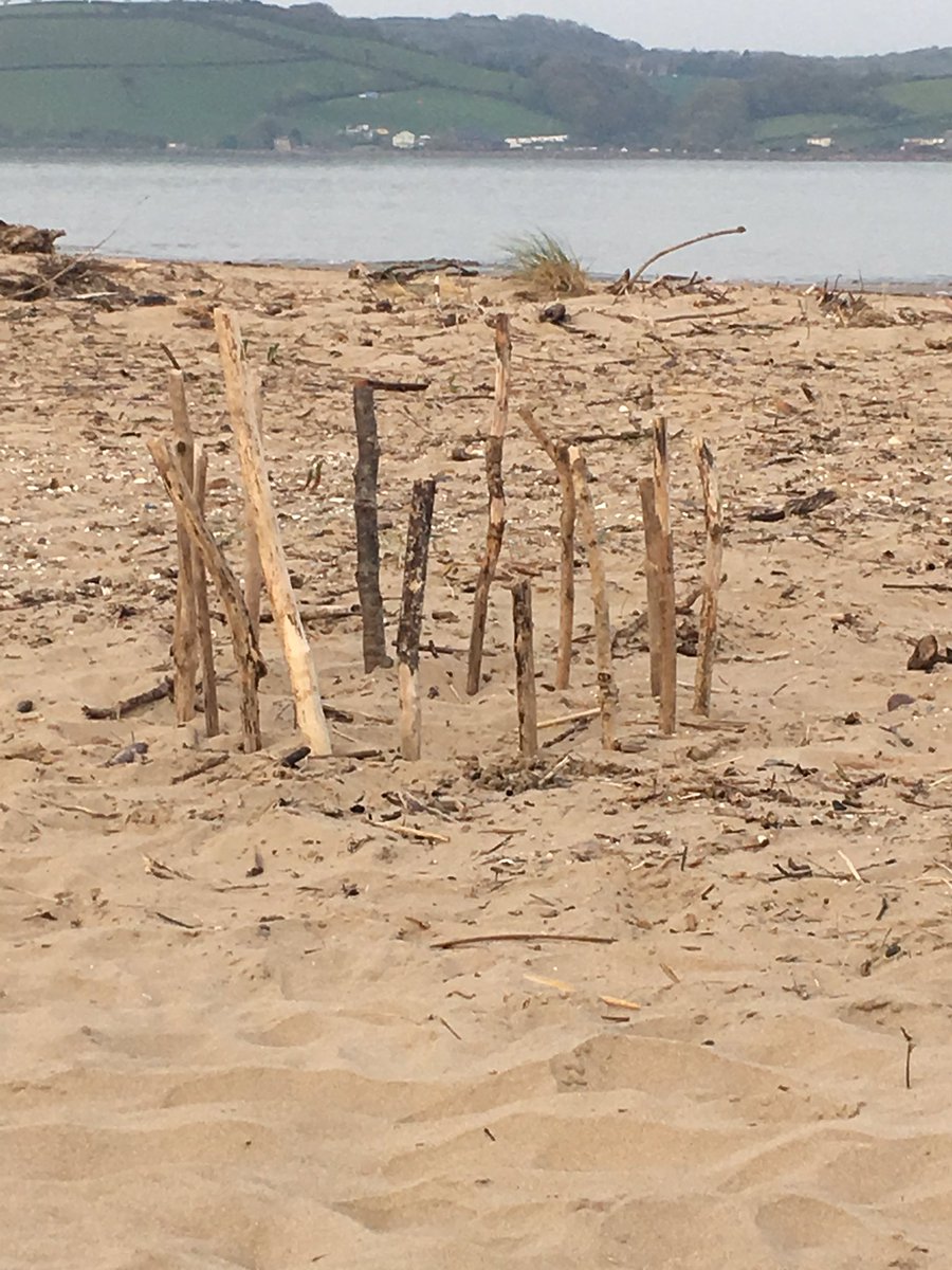 inca2's tweet photo. Life on the beach #family https://t.co/pP3m0CHxpo