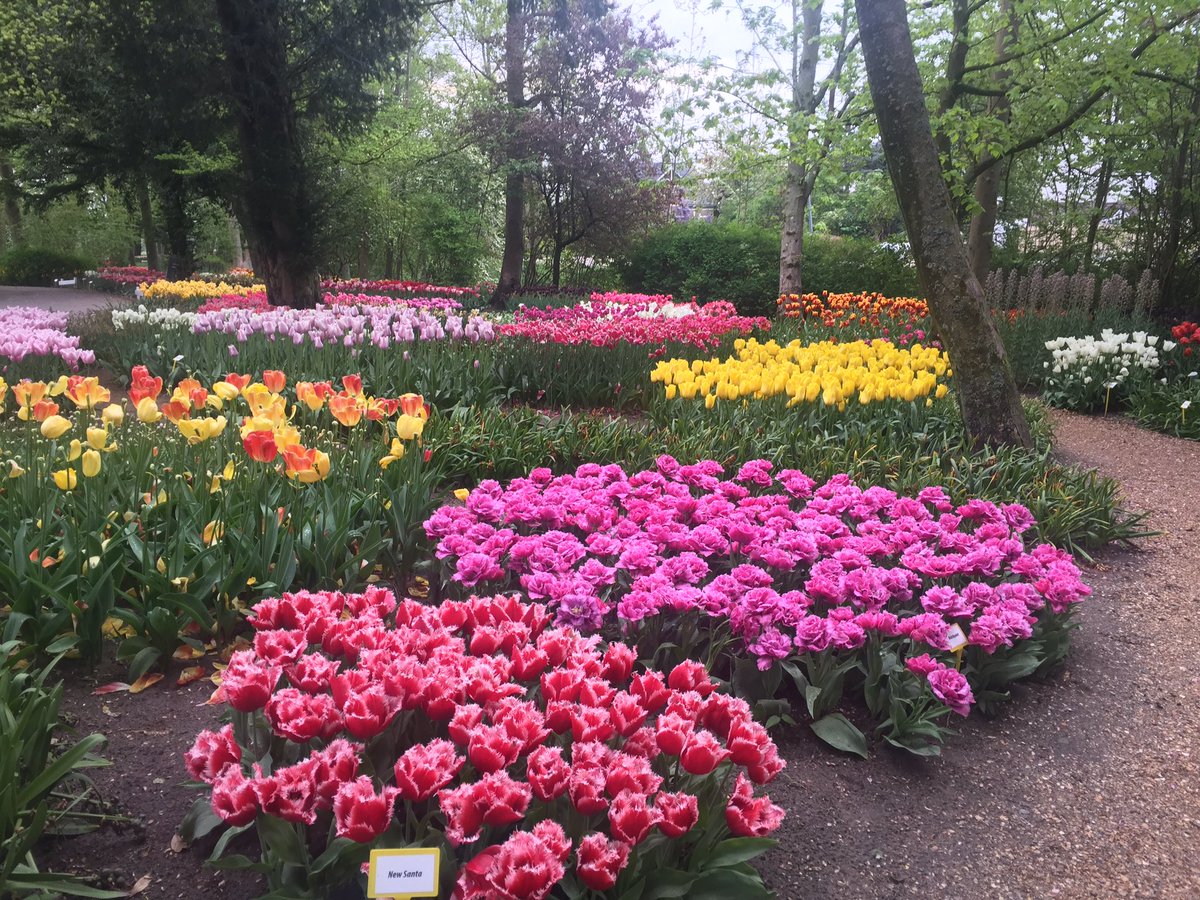 deelstralex's tweet photo. @Bloemendagen de poldertuin staat er nu nog heel mooi bij! #bloemendagen #tulpen #mooi #park #annapaulowna https://t.co/dWfFF8hwRu
