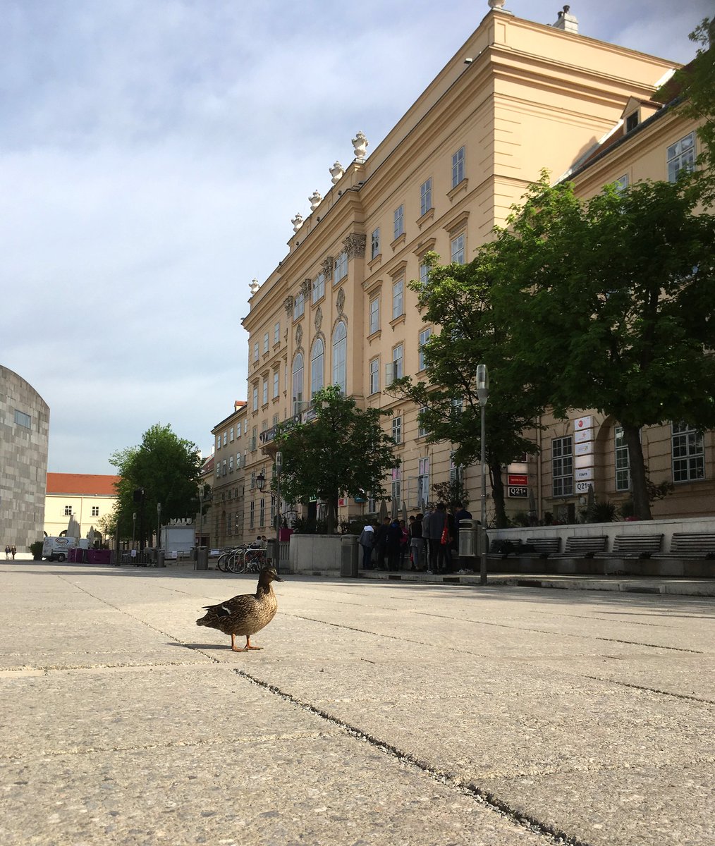 mqwien's tweet photo. Die letzten Gäste verlassen das Areal 🦆
Heute ab 19.30 geht's wieder los: #ElectricSpring Tag 2 mit all euren Lieblingsacts: @soulcatmusiq, #KLITCLIQUE, @kinetical_mc  &amp; @ptah_one , #DJResista, #TSer, #Spinelly, #KeKe, #3gga &amp; @ahmed_dalia - EINTRITT FREI! 
#MQmovesYOU  💙 https://t.co/dNKGOVrwaU