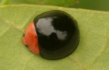 初宿成彦 tweet media