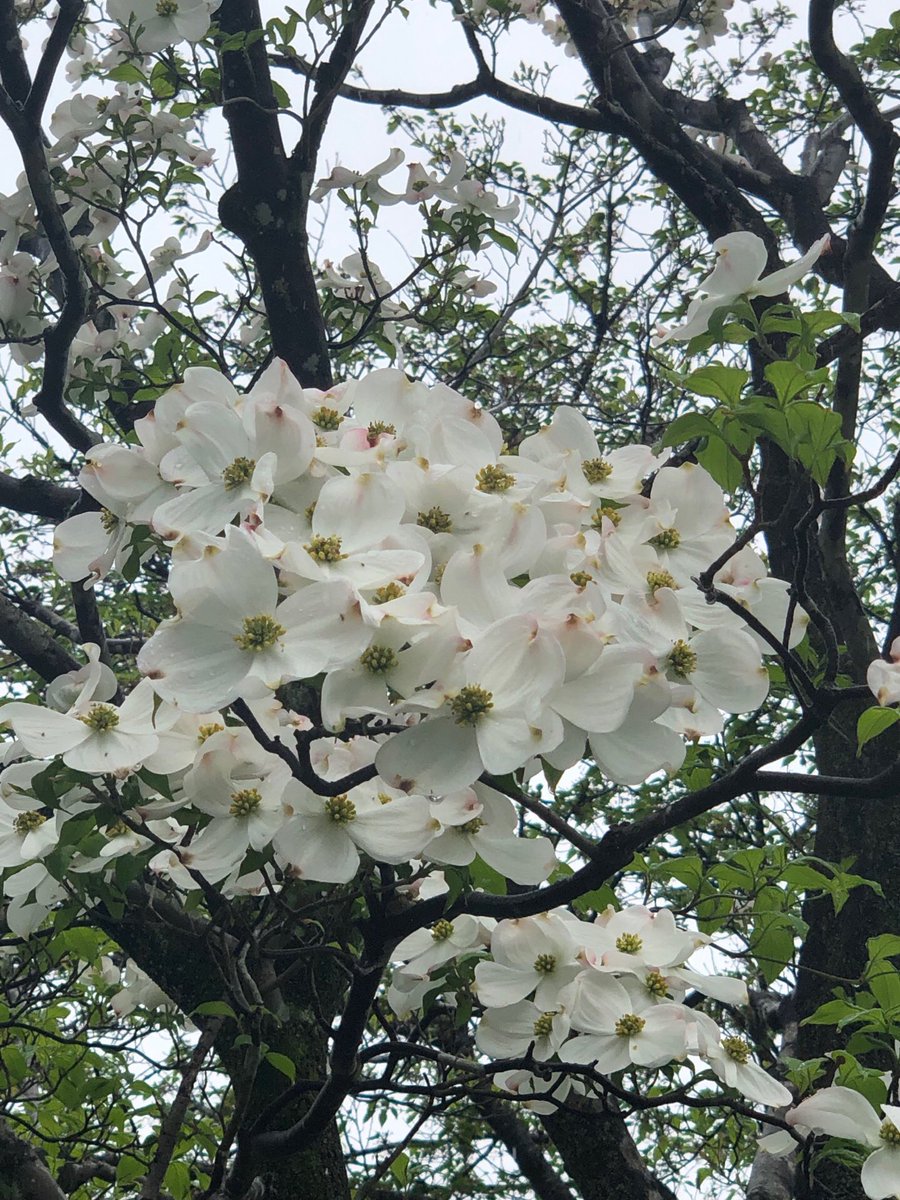 人の思考が在り方をつくって
その在り方が未来をつくるんだね

だとしたら、
なりたい自分を描いて
そのように存在していたら

未来はそうなるって事だ😁